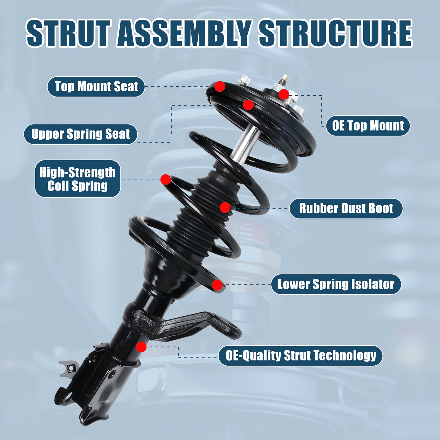 Vextone Front Strut Assembly Kit for 2002 2003 2004 2005 2006 Honda CR-V – Noise Reduction & Comfort Upgrade – Replaces OEM 172143 172144 (Pair)